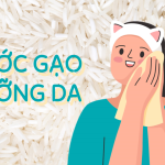 cám gạo, nước vo gạo, trị mụn, viêm da, nước gạo