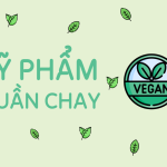 So Sánh 4 Món Mỹ Phẩm Thuần Chay Đến Từ Việt Và Hàn