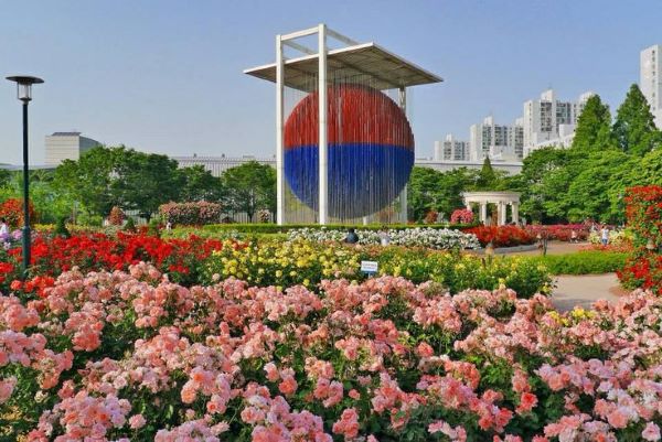 rose festival, best month to visit korea, everland amusement park, fubao, rose season