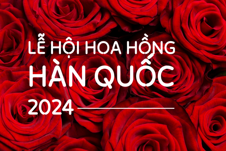 hoa hồng, everland hàn quốc, du lịch hàn quốc, seoul hàn quốc, lễ hội hoa hồng